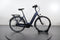 Gazelle Arroyo C7+ HMB Elite