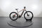Corratec E-Power X-Vert Pro