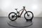 Corratec E-Power RS 160 Pro