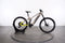 Haibike ALLMTN 2