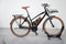 Riese & Müller Cruiser Mixte Vario