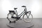 Gazelle Miss Grace C7+