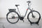 Carver Cityzen E LTD FL