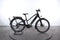 Cannondale Tesoro Neo X 2