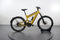 Riese & Müller SuperDelite GT Vario