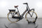 Gazelle Miss Grace C7 HMB