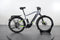 Haibike Trekking 6