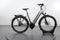 Raleigh Bristol XXL