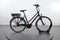 Batavus Agudo E-GO