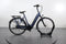 Gazelle Arroyo C7+ HMB Elite