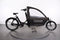 Bakfiets Cargo Long Classic Steps