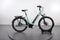 Winora Sinus R8 Eco