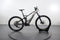 Orbea Wild FS H10