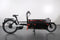 Riese & Müller Packster 80 Vario