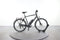 Gazelle CityZen C8