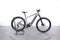 Corratec E-Power X-Vert Pro