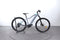 Trek Powerfly 5