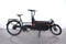 Riese & Müller Packster 60