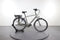 Batavus Wayz E-go Active Plus