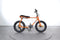 Ruff Cycles Lil Buddy