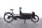 Riese & Müller Packster 60