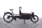 Riese & Müller Packster 60