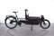 Riese & Müller Packster 60