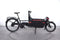 Riese & Müller Packster 60