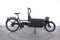 Riese & Müller Packster 60