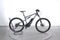 Scott Genius eRide 920