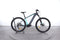 Trek Powerfly 4