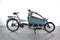 Riese & Müller Load 60 vario