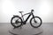 Gitane B21