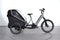 Cube Trike Family Hybrid