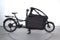 Riese & Müller Packster 70