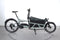 Riese & Müller Load 4 60 touring