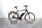 Riese & Müller Cruiser2 vario