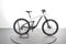 Bergamont E-Trailster
