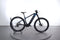 Fuji Ambient EVO 1.3 29R