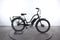 Electra Townie GO! 8i Lady