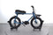 Ruff Cycles Lil'buddy