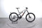 Lapierre Overvolt AM 5.5