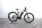 Orbea Wild 30