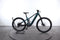 Haibike AllTrail 5