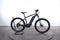Giant Roam E+ GTS