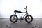 Ruff Cycles Lil Buddy