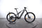 Merida eOne Sixty 875