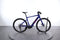 BMC Alpenchallenge AMP AL ONE