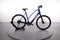 Trek Dual Sport+ 2