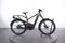 Riese & Müller Delite 5 GT Pinion